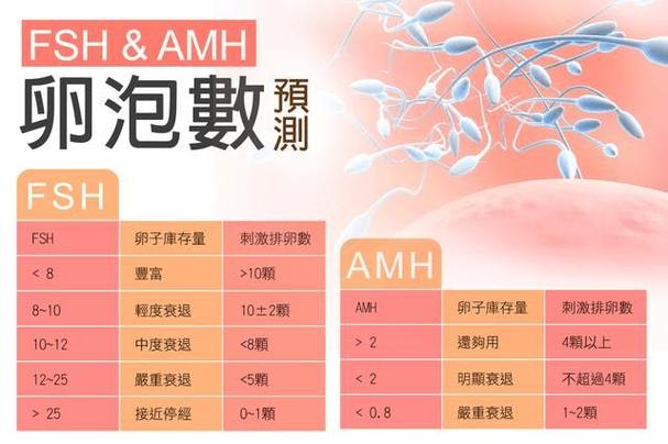 做供卵成功率多少(供卵成功率多少?一探试管婴儿成功率的关键因素)