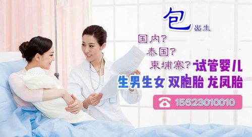 做试管代怀双胞胎多少费用【试管代怀双胞胎费用解析】