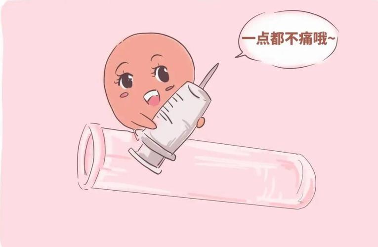 做借卵试管代怀女孩(借卵试管代怀:盼望女孩的心声)