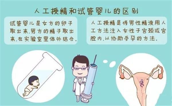 专业借卵试管代怀【专业借卵试管代怀服务详解】