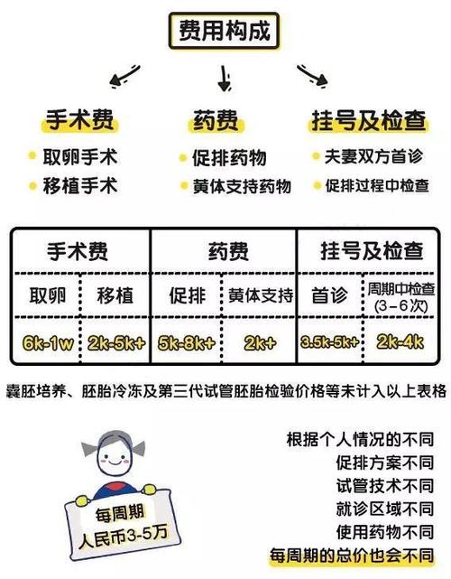 做试管代怀大概要多少费用-试管代怀:费用多少?